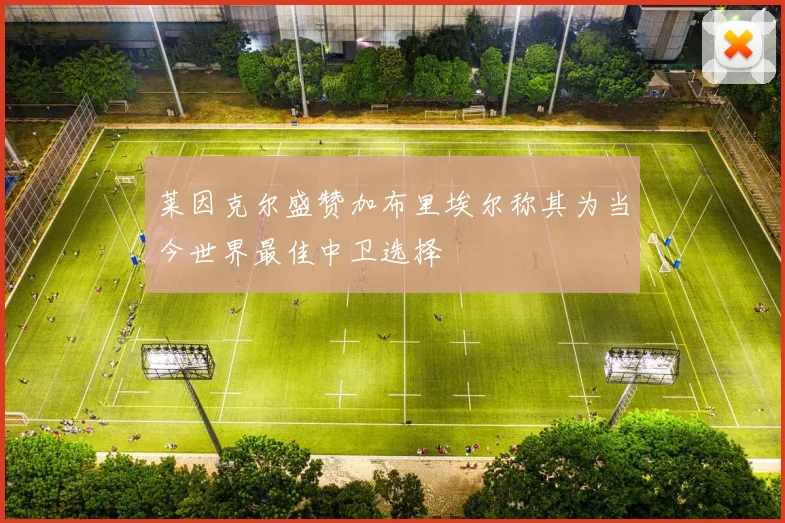 莱因克尔盛赞加布里埃尔称其为当今世界最佳中卫选择