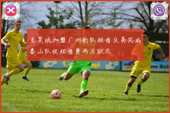 王昊斌加盟广州豹队租借交易完成泰山队收租借费两万欧元